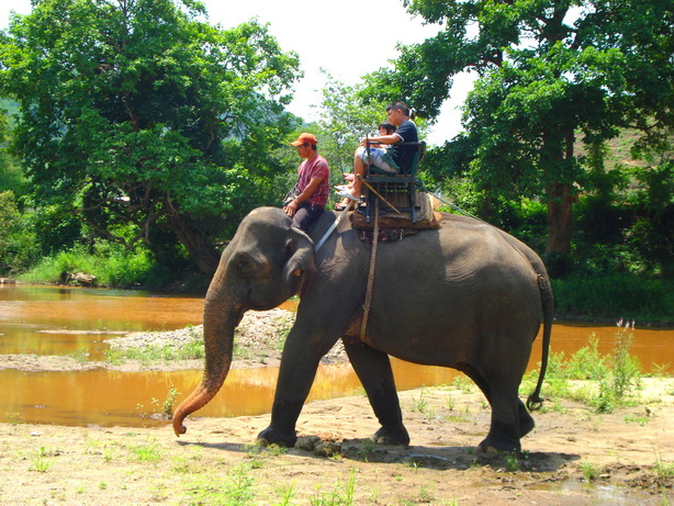 elephant ride